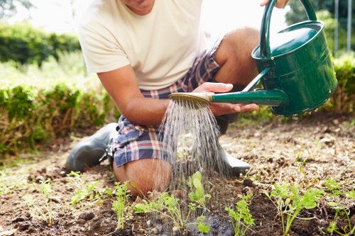 Efficient watering techniques in Canary Wharf gardens