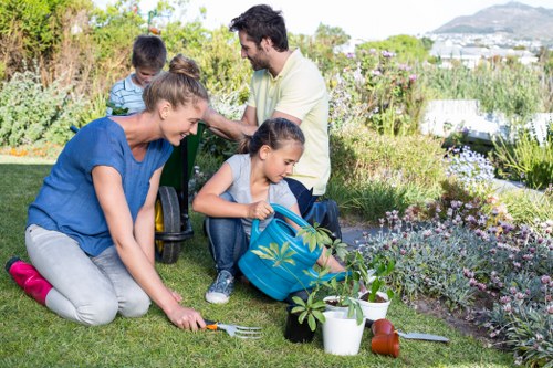 Choosing the right lawn service