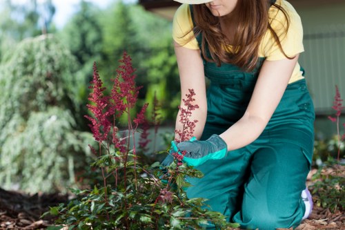 Volunteers and charity partners receiving reusable gardening equipment